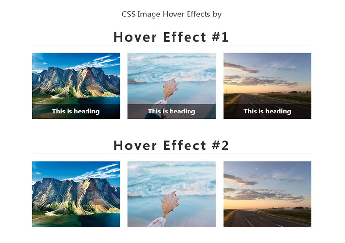 10款鼠標懸停遮罩顯示文字特效網頁HTML代碼