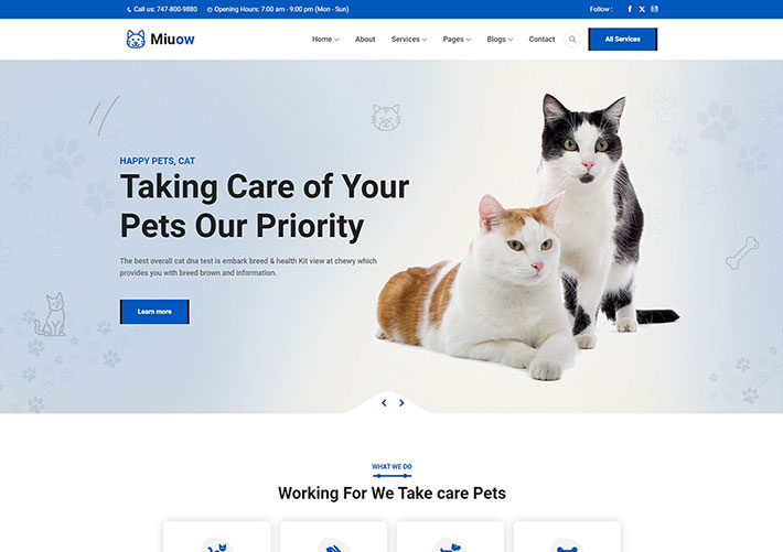 響應式貓咪寵物用品店宣傳網站網頁HTML源碼模板