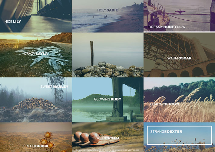 html5 css3圖片響應式布局鼠標懸停圖片動畫標題文字效果代碼